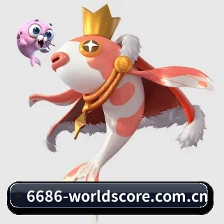 星空体育 APP