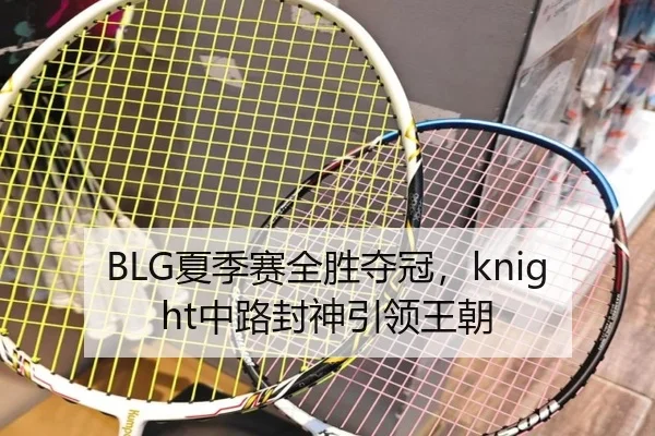 BLG夏季赛全胜夺冠，knight中路封神引领王朝