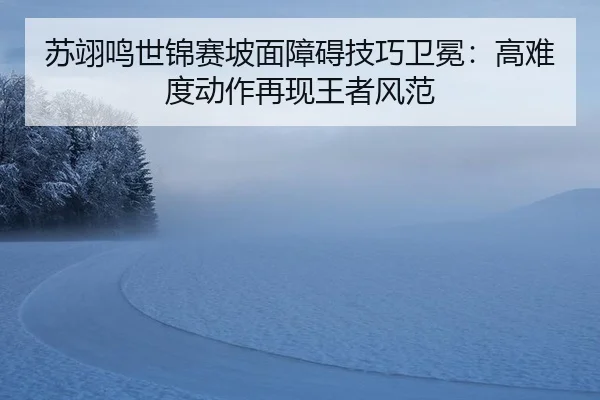 su-yi-ming-shi-jin-sai-po-mian-zhang-ai-ji-qiao-wei-mian-gao-nan-du-dong-zuo-zai-xian-wang-zhe-feng-fan-2-240.jpg